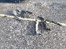 WP0AA2A83JS****** Wrecked 2018 Porsche 718 Cayman in Florida State