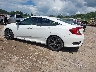 19XFC2F89ME****** Salvage and Repairable 2021 Honda Civic in Knoxville