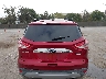 1FMCU0JX0FU****** Salvamento 2015 Ford Escape