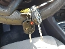 1FMCU9GD3HU****** Salvage 2017 Ford Escape in Pennsylvania State
