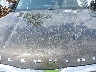 5XYP5DHC9LG****** Repairable 2020 Kia Telluride in Chicago South