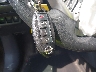 3N1AB7AP6FY****** Salvage 2015 Nissan Sentra in Ohio State