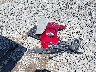 1FMCU9HD4KU****** Destrozados 2019 Ford Escape en Estado de Pennsylvania