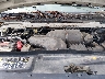 1FTNE2EW0CD****** Repairable 2012 Ford E-250 in Savannah