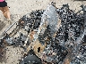 1FTMF1E5XLK****** Salvage 2020 Ford F-150 in Tulsa