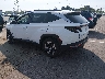 5NMJF3AE1PH****** Salvamento y Reparables 2023 Hyundai Tucson en Memphis