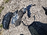5J8YE1H00NL****** Wrecked 2022 Acura MDX in Maryland State