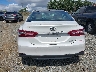 4T1F11AK1LU****** Destrozados 2020 Toyota Camry