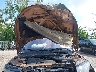 SALVT2BG6EH****** Repairable 2014 Land Rover Range Rover Evoque in West Palm Beach