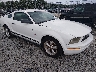 1ZVFT80N675****** Salvamento y Destrozados 2007 Ford Mustang en Savannah
