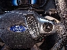 1FADP5CU2EL****** Salvage 2014 Ford C-Max in Arizona State