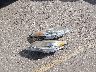4T1BK1EB0DU****** Wrecked 2013 Toyota Avalon in Texas State