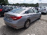 5NPE24AF7GH****** Salvage and Wrecked 2016 Hyundai Sonata in New York State