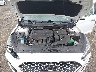 5NPE34AF6KH****** Repairable 2019 Hyundai Sonata in Northern Virginia