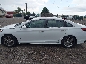 5NPE34AF6KH****** Repairable 2019 Hyundai Sonata in Virginia State