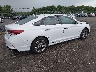 5NPE34AF6KH****** Salvage and Wrecked 2019 Hyundai Sonata in Virginia State