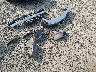 1GCDT196558****** Salvage and Wrecked 2005 Chevrolet Colorado in Oregon State