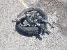 WAUANCF54LA****** Wrecked 2020 Audi A5 in California State