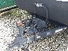 4X4TSMT11KY****** Repairable 2019 Forest River Salem Towables in Orlando North