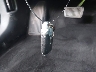 KMHLM4AG6MU****** Salvage 2021 Hyundai Elantra in Maryland State