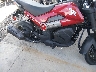 3H1JK07F0SD****** Wrecked 2025 Honda Navi in Rec Rides Online Exclusive