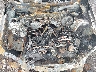 JF2SHABC6BH****** Repairable 2011 Subaru Forester in Syracuse
