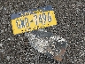 JF2SHABC6BH****** Salvage 2011 Subaru Forester in New York State