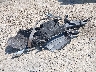 1GCVKREC8JZ****** Wrecked 2018 Chevrolet Silverado 1500 in Wisconsin State
