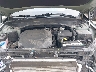 5XYP5DGC4PG****** Repairable 2023 Kia Telluride in Indianapolis