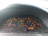 4T1BA32K85U****** Salvage 2005 Toyota Camry in Little Rock