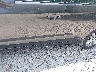 5NPD84LF4LH****** Salvamento y Reparables 2020 Hyundai Elantra en Estado de Ohio