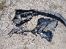5NMJB3AE8NH****** Salvage 2022 Hyundai Tucson in Oklahoma State