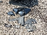 2T3BF4DV5AW****** Destrozados 2010 Toyota RAV4 en Estado de Ohio