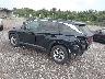 KM8JB3DE7RU****** Salvage and Repairable 2024 Hyundai Tucson in Tampa North