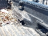 5TETX22N35Z****** Wrecked 2005 Toyota Tacoma in California State