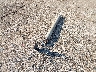 1C6RR7TT4GS****** Salvage 2016 RAM 1500 in Texas State