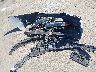 2HGFE2F55NH****** Wrecked 2022 Honda Civic in California State