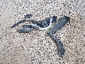 KL77LHEP7SC****** Wrecked 2025 Chevrolet Trax in Ohio State