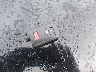 3TMCZ5AN6KM****** Salvamento 2019 Toyota Tacoma en Estado de Carolina del Sur
