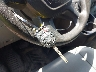 1FTYE1YM3GK****** Salvage 2016 Ford Transit-150 in Pennsylvania State