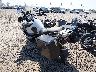 WB10A1209HZ****** Salvage and Repairable 2017 BMW R 1200 GS in Rec Rides Online Exclusive