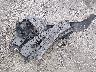 2HGFE2F54SH****** Destrozados 2025 Honda Civic en Estado de Georgia