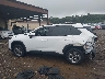 2T3P1RFV2RC****** Reparables 2024 Toyota RAV4 en Estado de Nueva York
