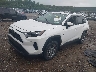 2T3P1RFV2RC****** Usados y Reparables 2024 Toyota RAV4 en Long Island