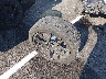 2C3CCAETXEH****** Salvage 2014 Chrysler 300C in Tennessee State