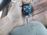 4T1BE46K47U****** Salvage 2007 Toyota Camry in Massachusetts State
