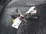 1FTER1EH1ML****** Salvage 2021 Ford Ranger in Florida State
