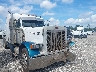 1XP5DR9X9YN****** Salvamento y Destrozados 2000 Peterbilt 379 en Specialty Division
