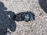 3HGGK5H6XJM****** Wrecked 2018 Honda Fit in Virginia State