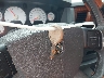 1D7HA182X6S****** Salvamento 2006 Dodge Ram 1500 en Estado de New Hampshire